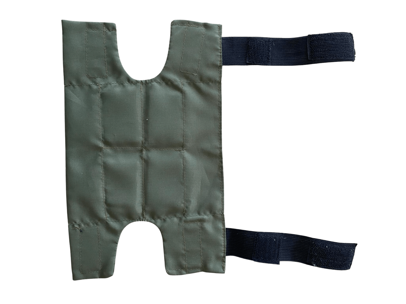 coudière shungite